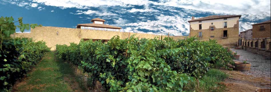 Eftermiddagsfika med Miguel Merino