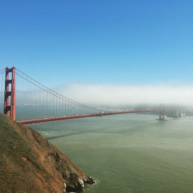 I zinfandels fotspår