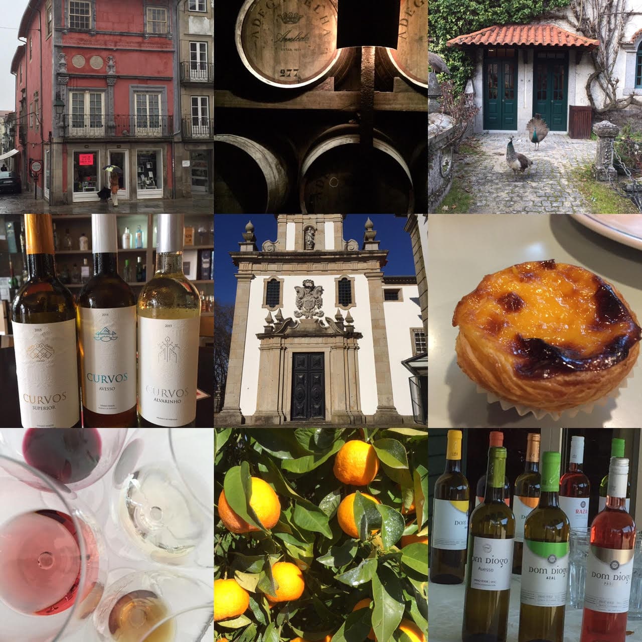 Semestertips i Vinho Verde