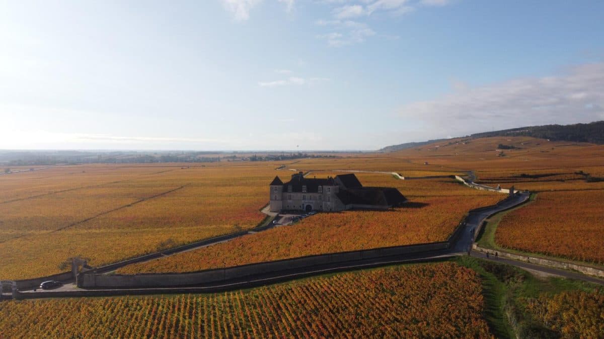 Maison Louis Jadot årgång 2023