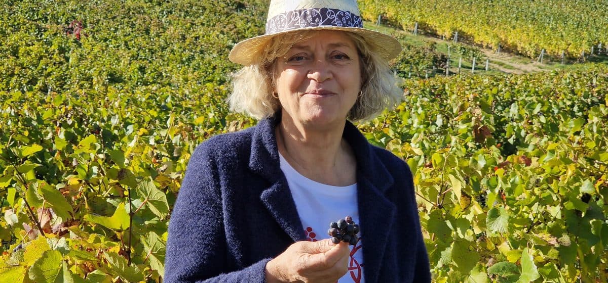 Clotilde Davenne Irancy Paradis vingård