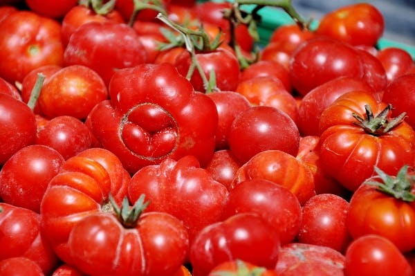 bild på Tomater smakar bäst i Italien.