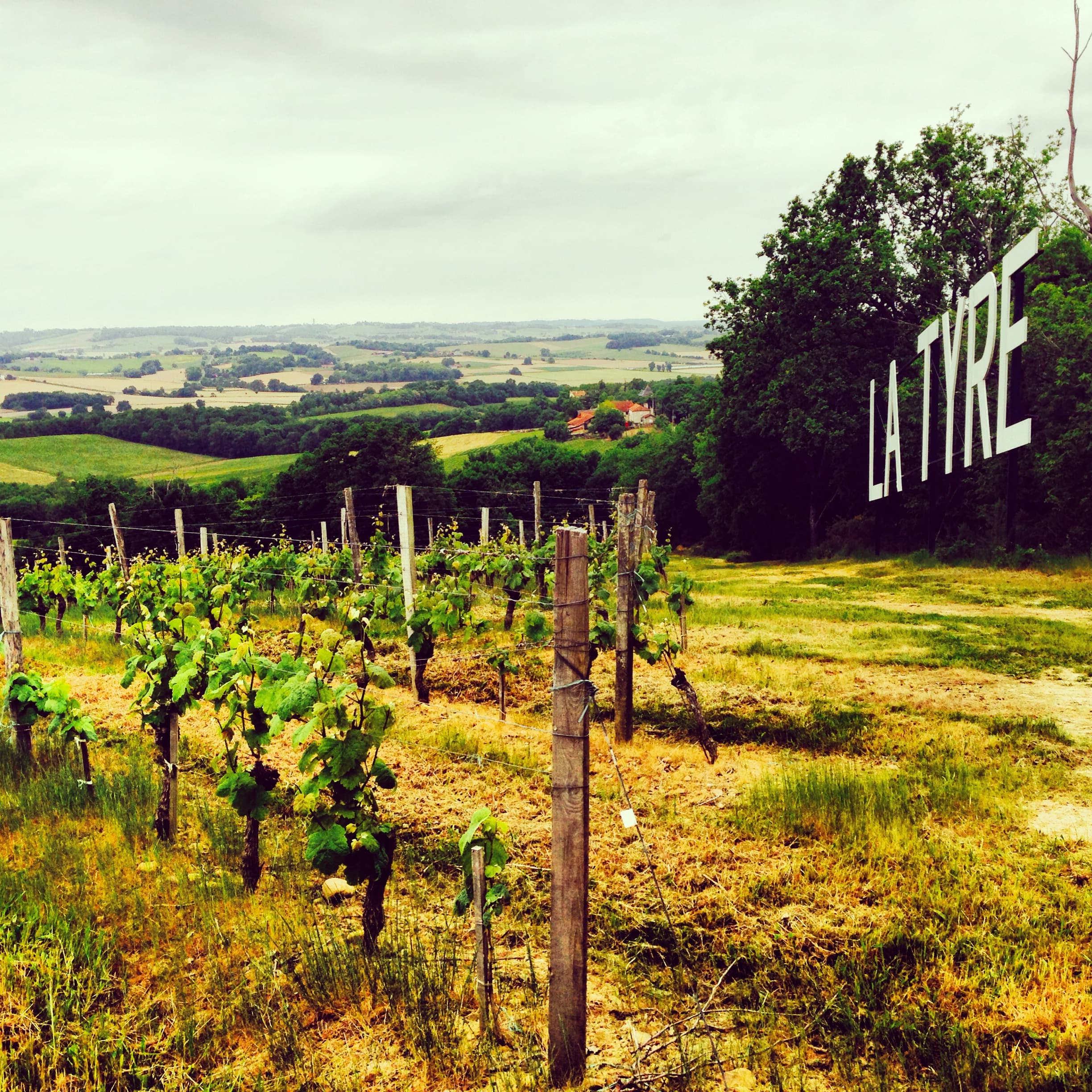 Alain Brumont – kungen av tannat