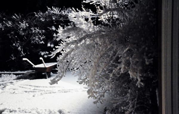 Jultips med viner (90-150 kronor)