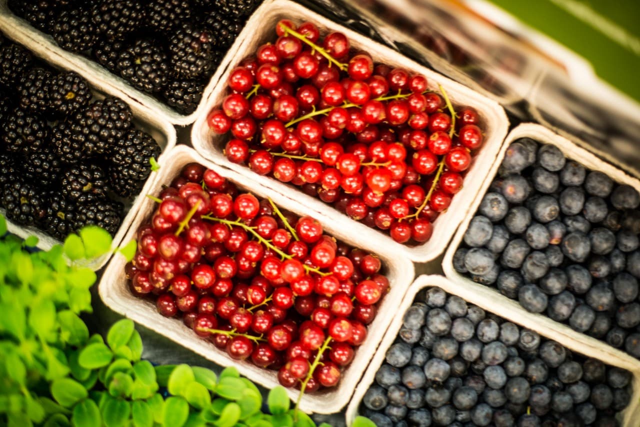 Vinprovarskola – cabernet sauvignon