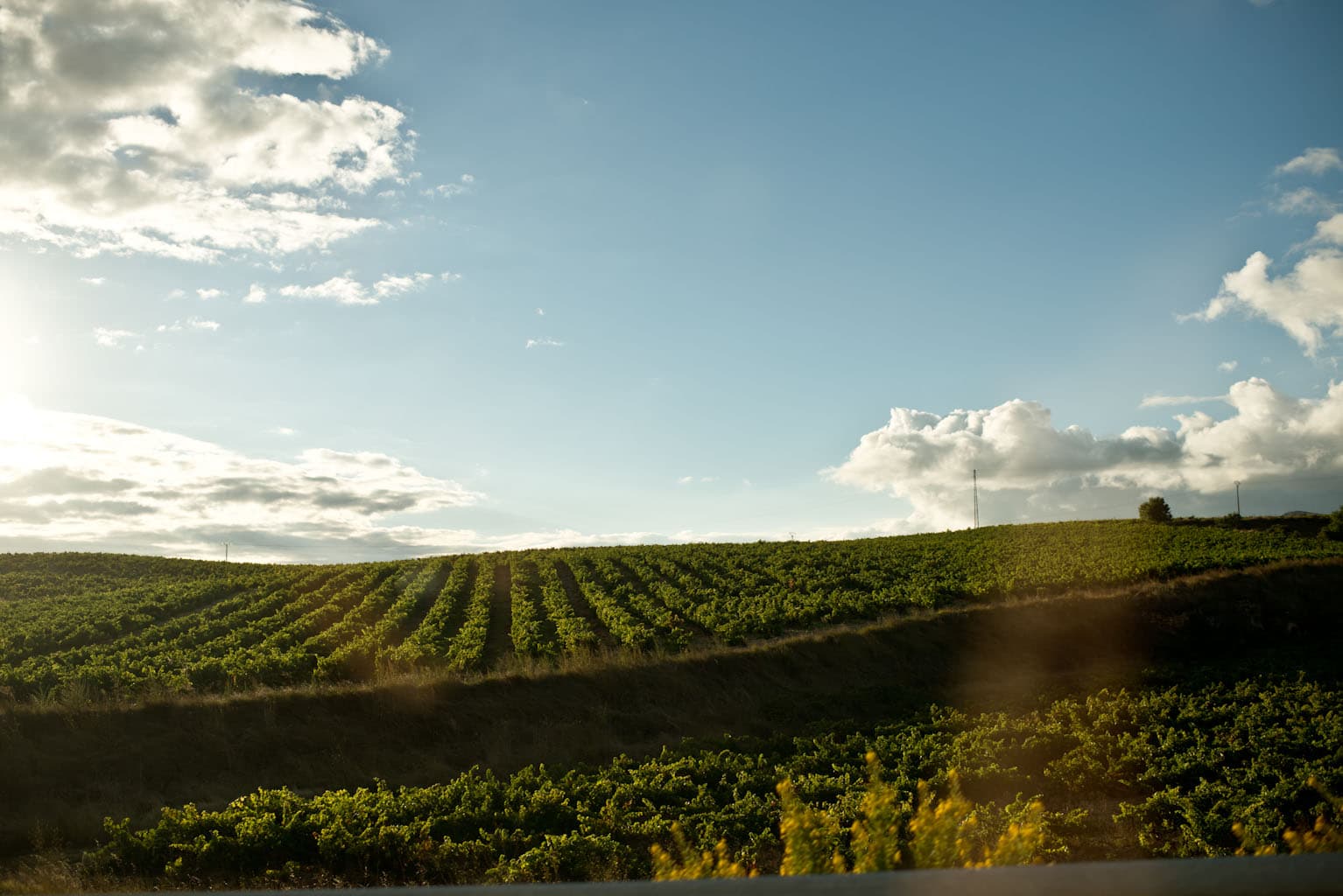 Systembolaget – fast lansering 1:a juni