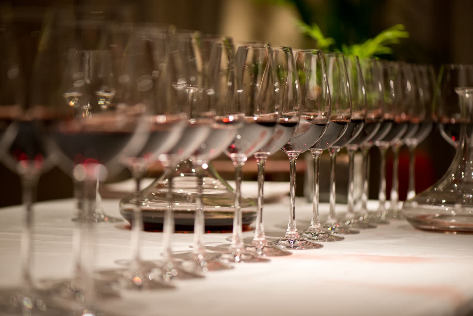 Fast lansering 1 december- här finns köptipsen!