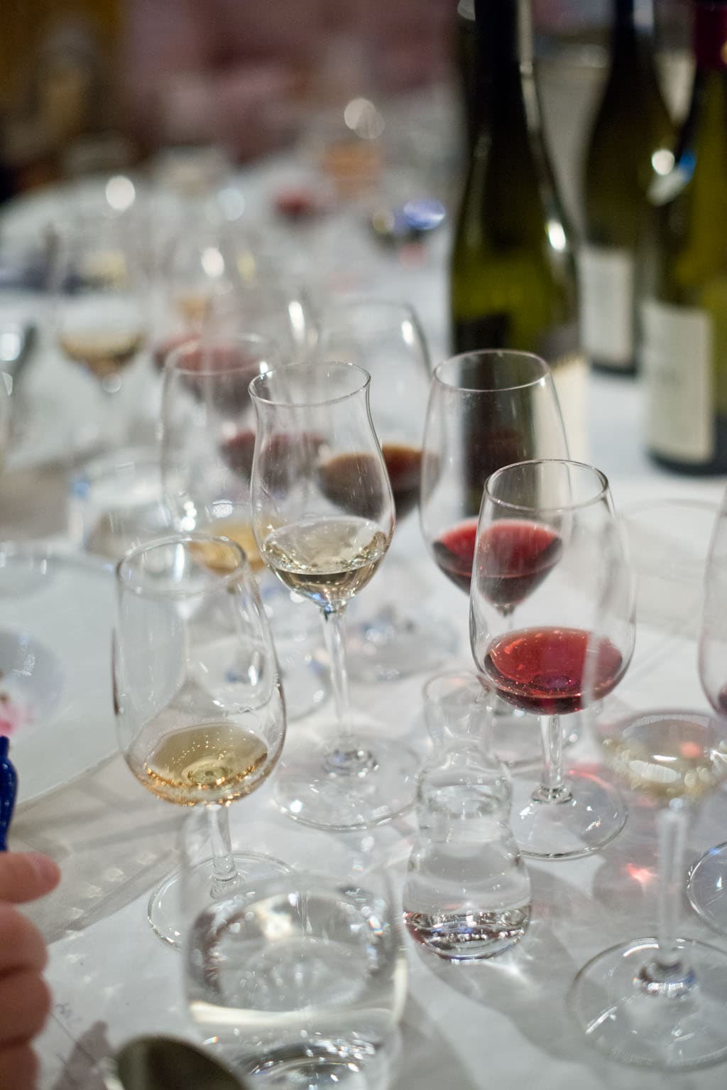 Sofias saftiga sommarfavoriter