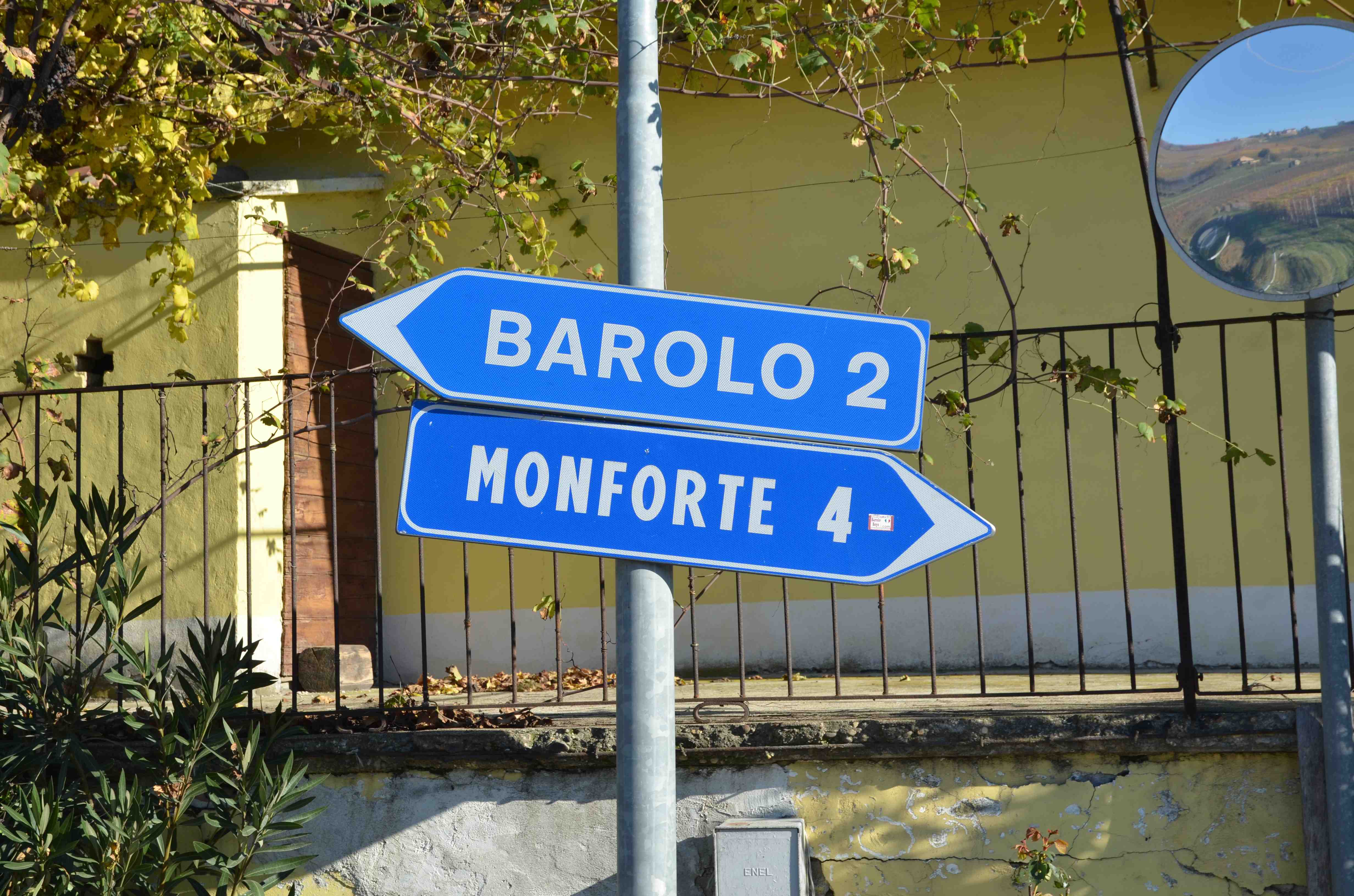 Italienska rödtjut på bolaget