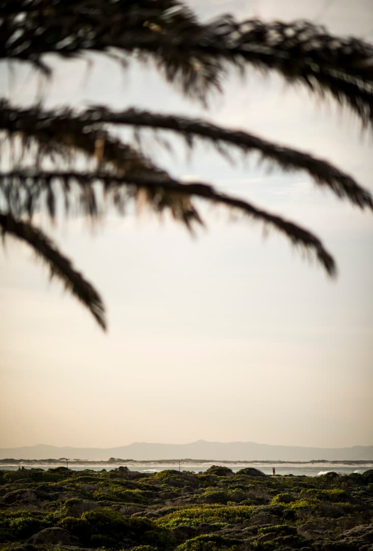 Bränderna i Kalifornien