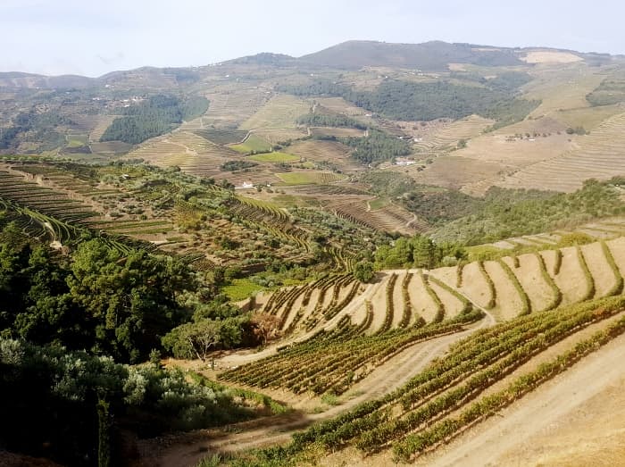 En kärleksförklaring till Douro