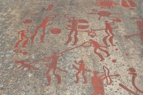 Vilt, vin och mulföda – hösten är här!