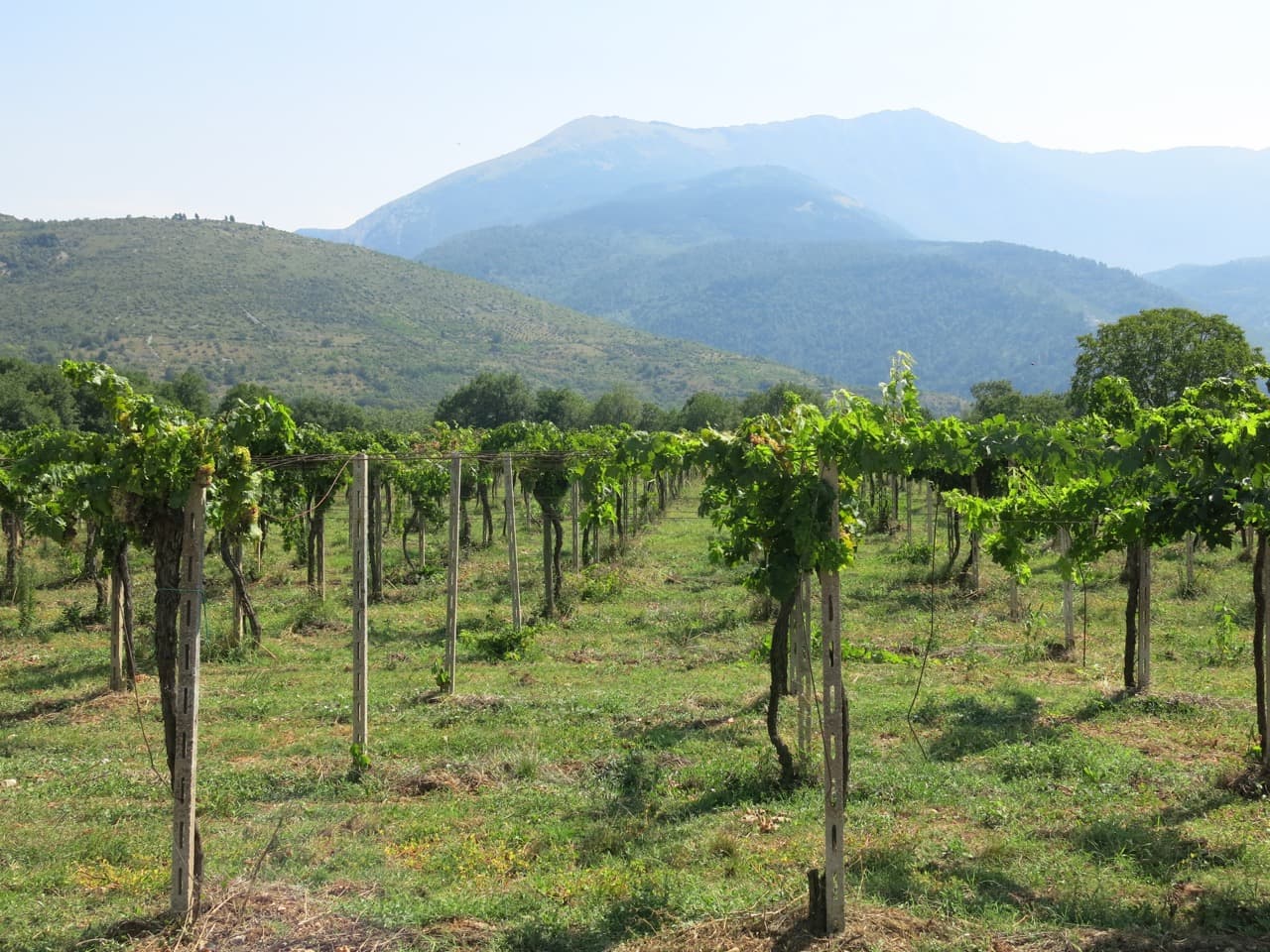 Abruzzo – vargar, vackra vyer och vin