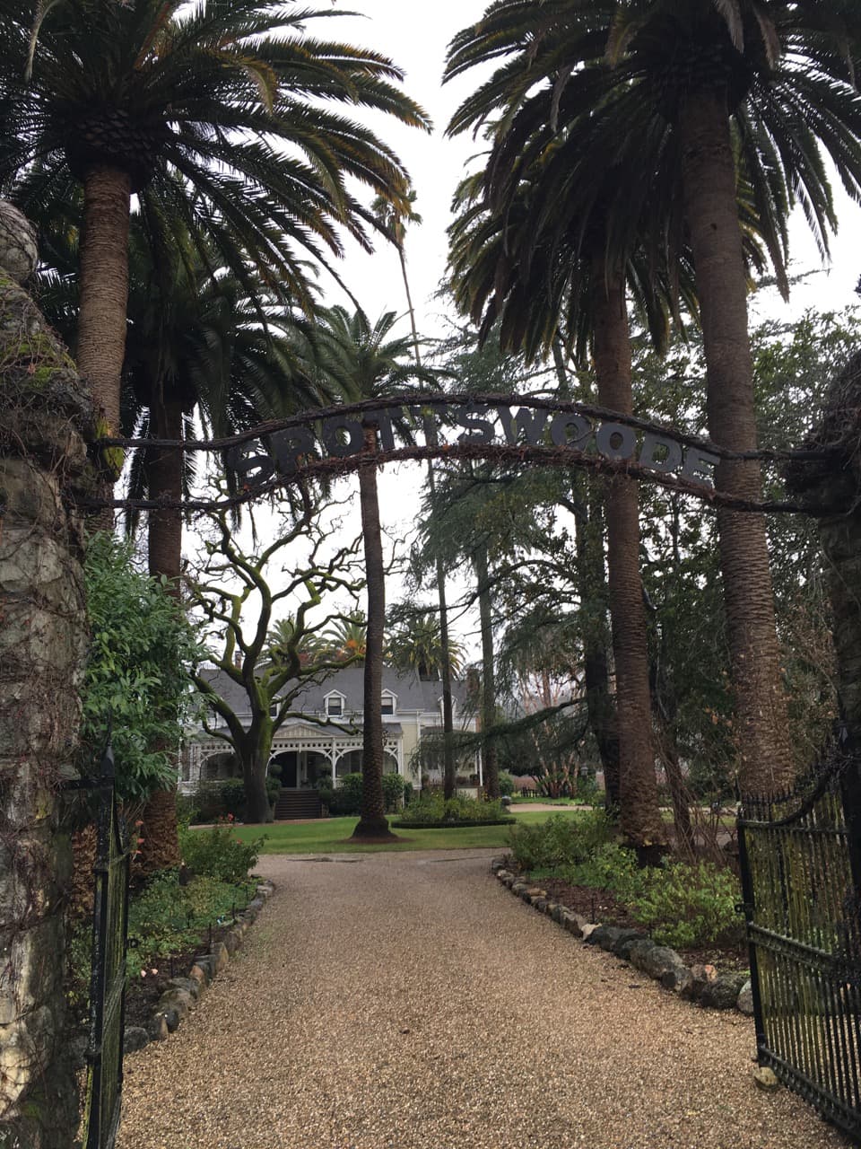 Cabernet Sauvignon och Kalifornien