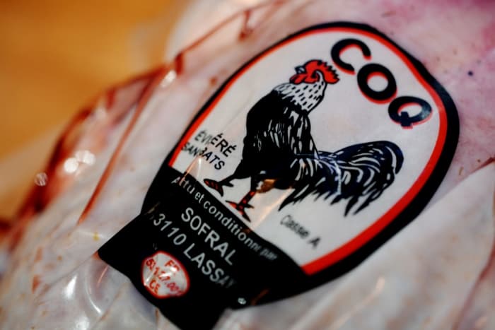 Fjäderfä i franskt vin