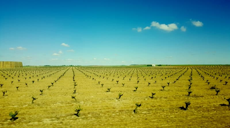 Spanien och garnacha = sant