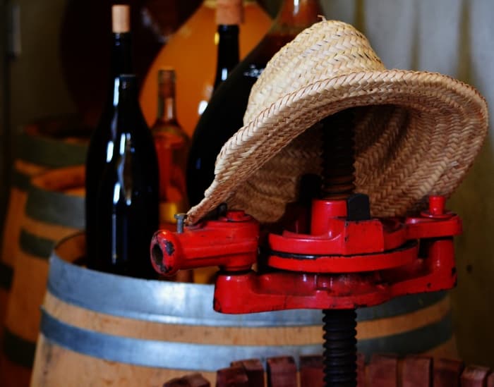 Madrid. Huvudstad och spännande vinområde.