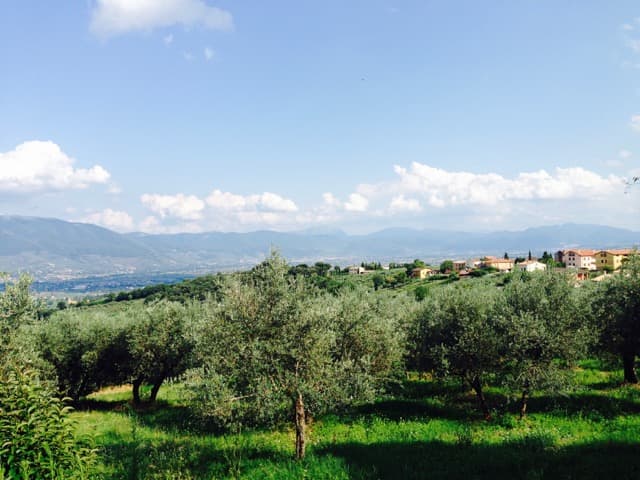 Sommar och semester – upptäck nya viner!