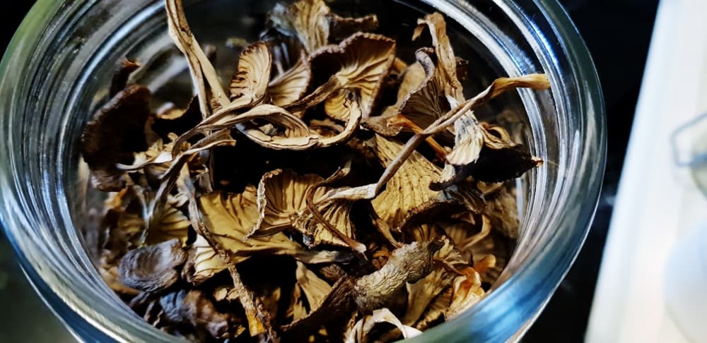 Svampsås, viltkött och lite vin