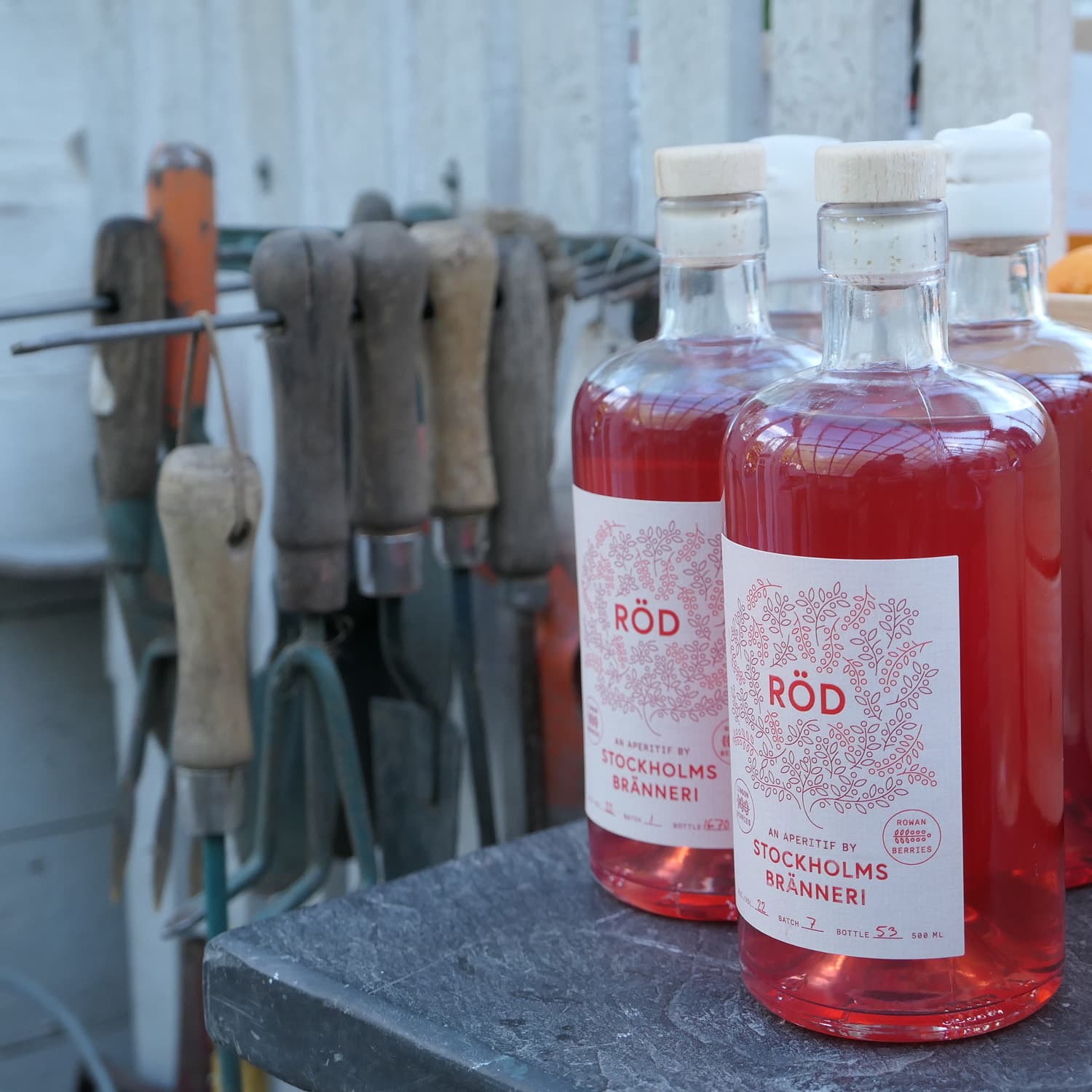 bild på Stockholms Bränneri utmanar Italien med svensk rönnbärsapéritif