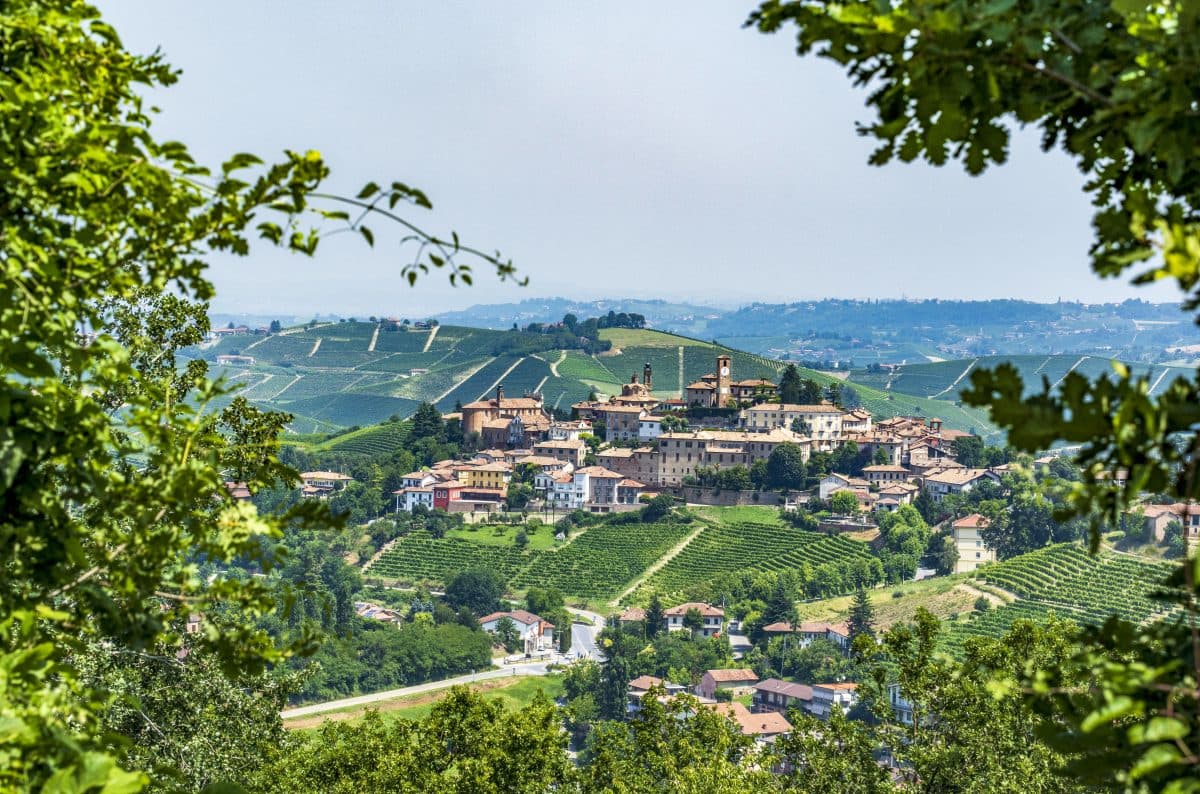 Barbaresco är populärt